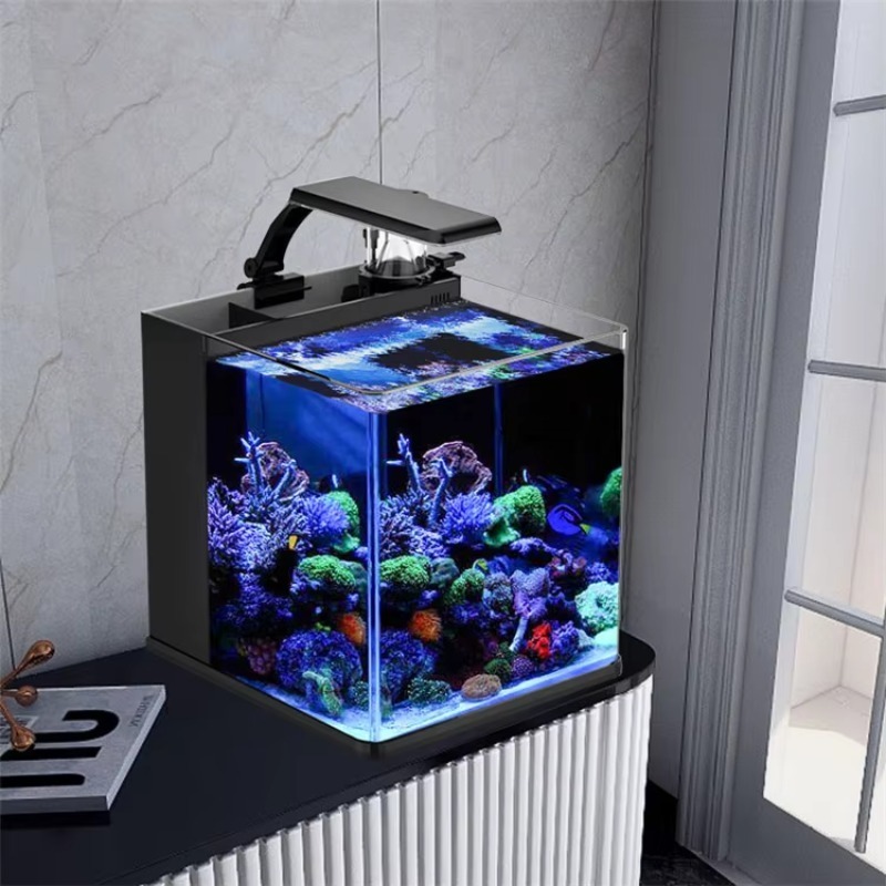 Ultraheldere glazen mini zoutw - Marine Aquarium Cube recensie en prijs