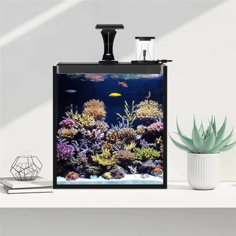 Ultraheldere glazen mini zoutw - Marine Aquarium Cube recensie en prijs