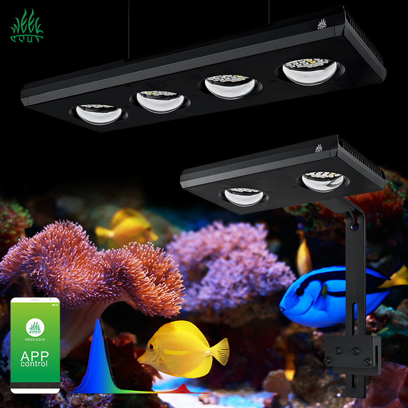 ZXY Hot Koop WEEKAQUA Z250 Z40 - Marine Aquarium App recensie en prijs