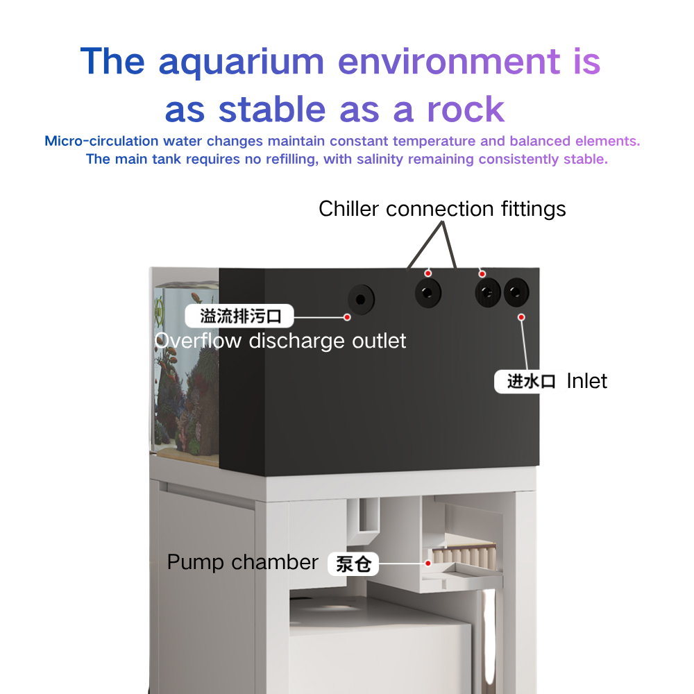 Slimme Visbak Automatische Wat - Marine Aquarium Cube recensie en prijs