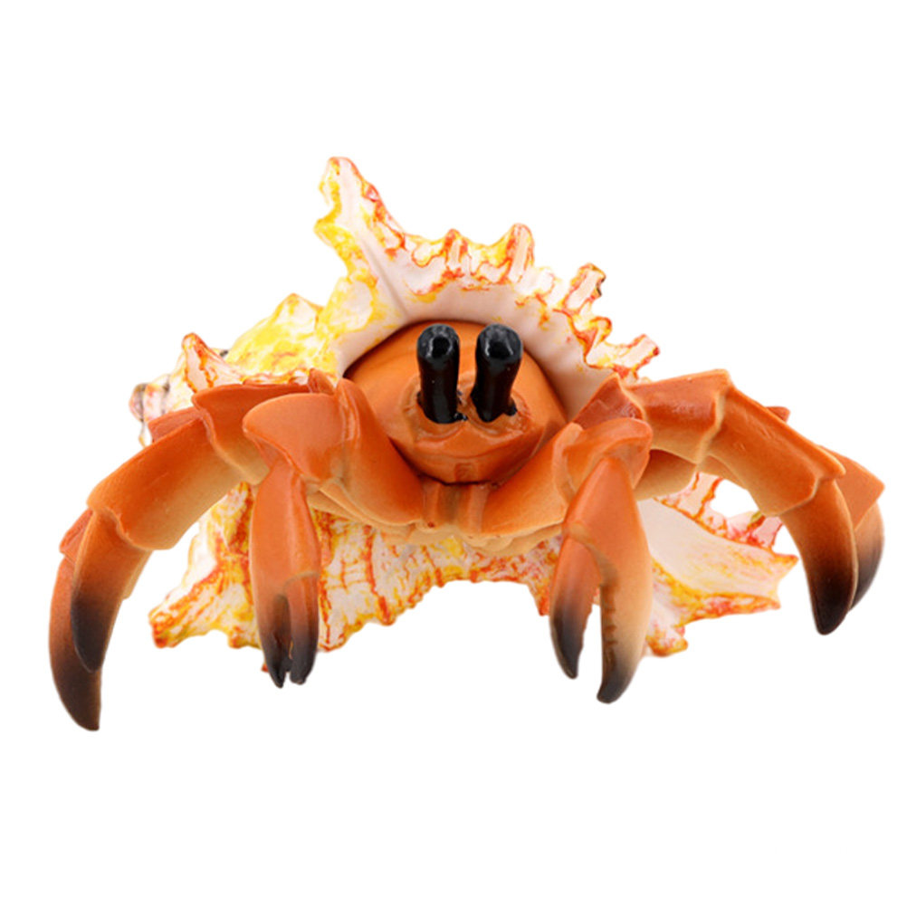 Simulatie van een heremietkree - Marine Aquarium Europe recensie en prijs