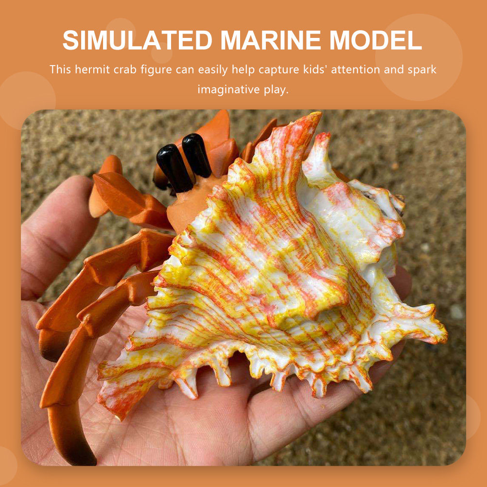 Simulatie van een heremietkree - Marine Aquarium Europe recensie en prijs